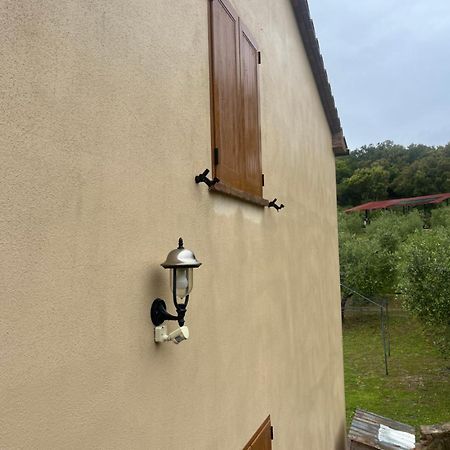 Agriturismo Il Sorbo Appartamento Menta Sticciano Exteriér fotografie