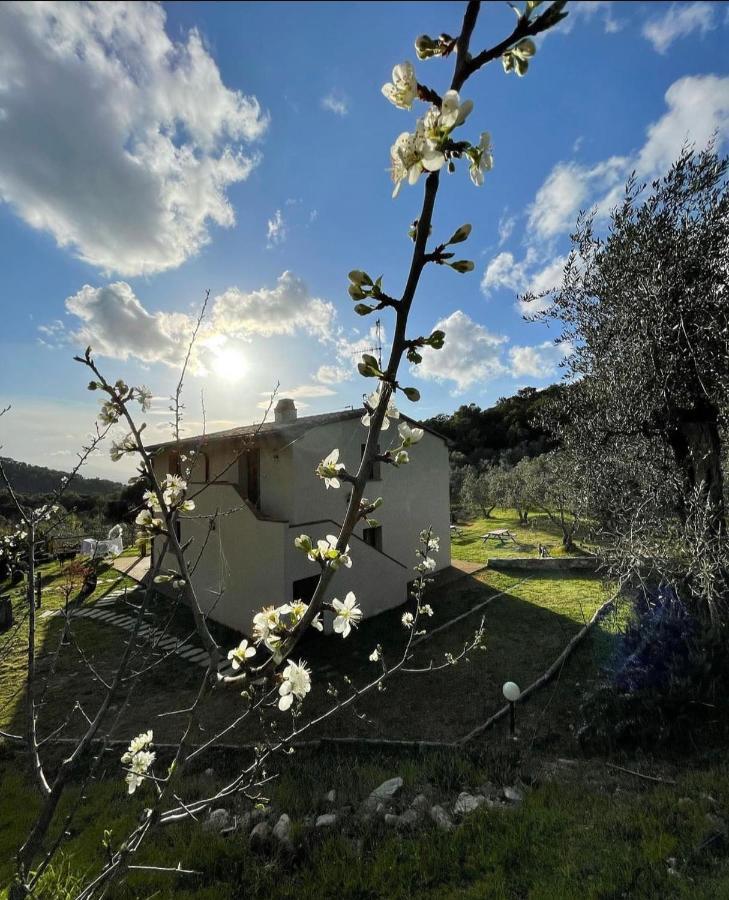 Agriturismo Il Sorbo Appartamento Menta Sticciano Exteriér fotografie
