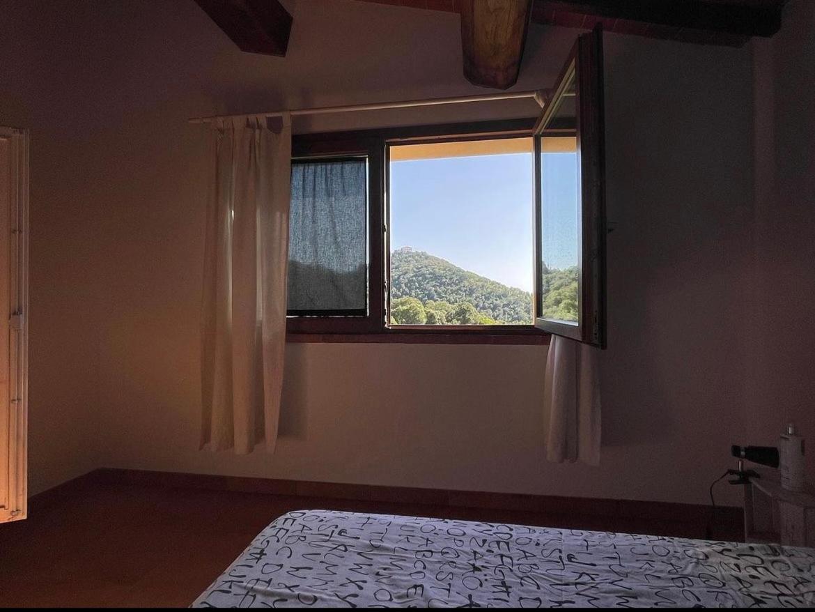 Agriturismo Il Sorbo Appartamento Menta Sticciano Exteriér fotografie